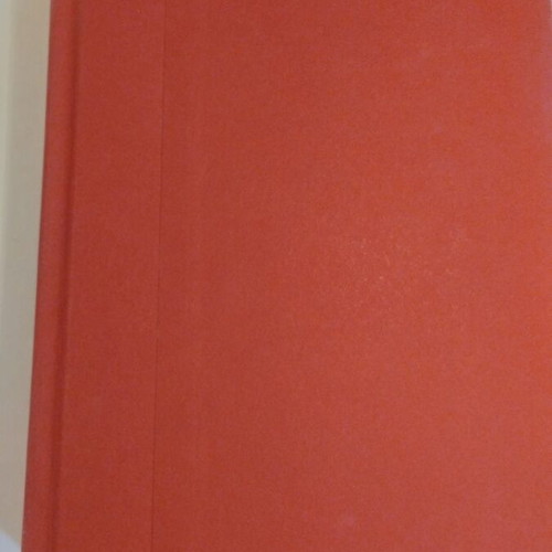 One Of Us Is Lying book like new, English