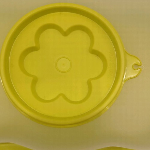 Tupperware molding container new