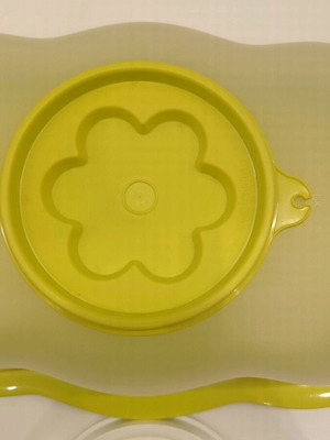 Tupperware molding container new