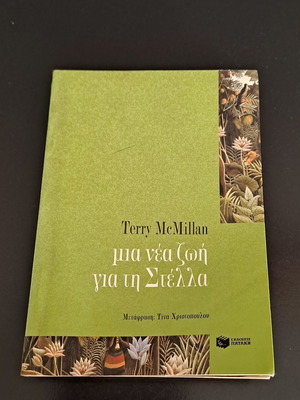 Terry McMillan A New Life for Stella book