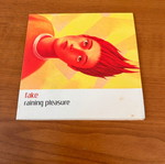 Fake Raining Pleasure CD used