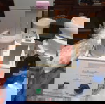 είδη αισθητικής