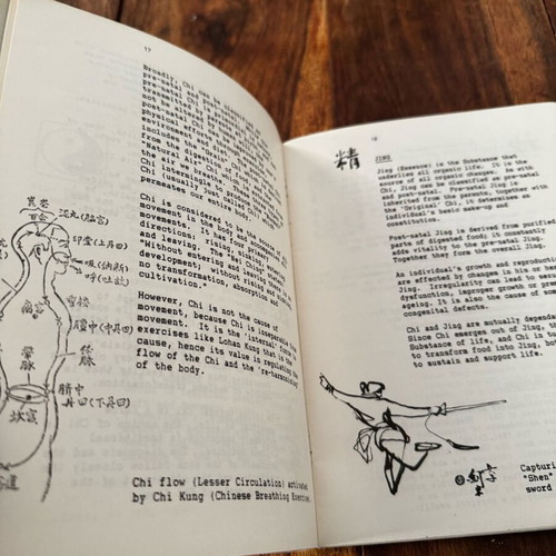 Lohan Kung Martial Fitness Healing Art used