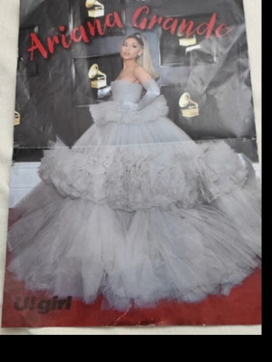Αφίσα διπλής όψεως Ariana Grande και Shawn Mendes σαν καινούργιο