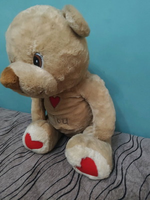 Large teddy bear with hearts used