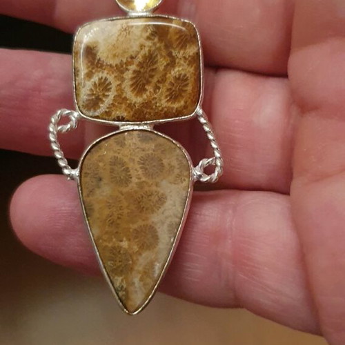 Hanging necklace, fossilized coral stone!