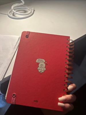 Brown Line Friends notebook new