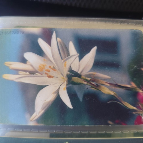 Phone Card Spring 1996 like new