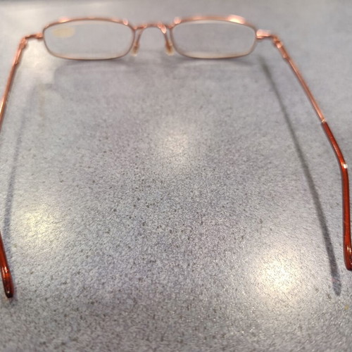 Reading glasses VisualCare metal bronze color with hard case