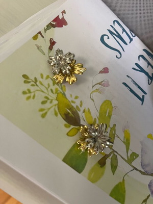 Double earrings gold and silver like new