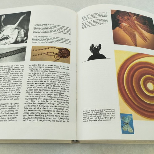 The Life Under the Microscope Vintage Hardcover Book like new