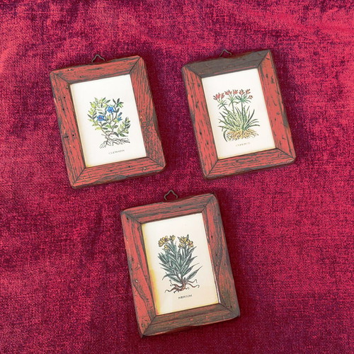 Collection of 3 mini frames with wooden frame like new
