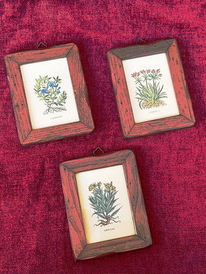 Collection of 3 mini frames with wooden frame like new