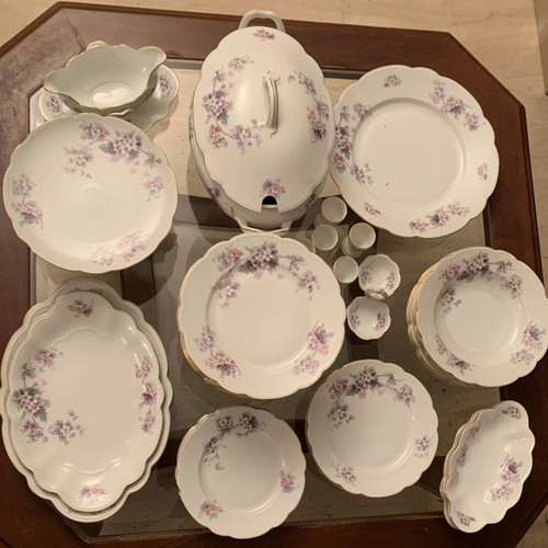 MZ Altrohlaou CM-R porcelain antique dinnerware set used, 55 pieces