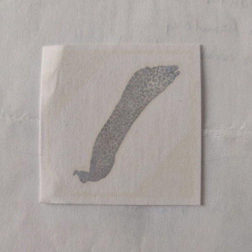 Tatouaz No.26 AB Vasilopoulos from Exploring the Ocean Album