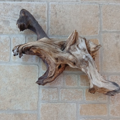 Aquarium wood decorative, used