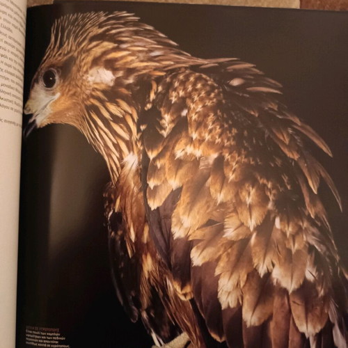 Book Album Kyriarhoi ton Aitheron like new