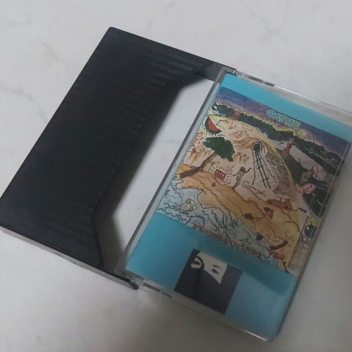 Fatme cassette case like new without cassette