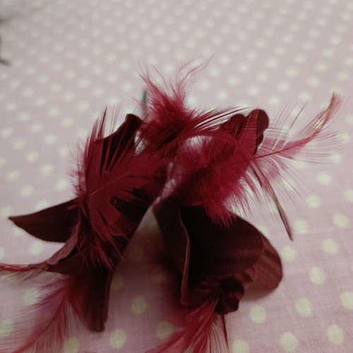 Pins used with feathers in black and red