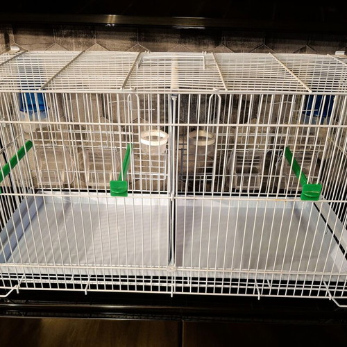Metal double bird cage 60×25×33 cm with feeders and perches