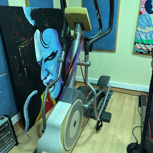 Professional elliptical used