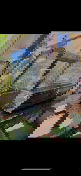 Βιτρίνα συντήρησης επιτραπέζια