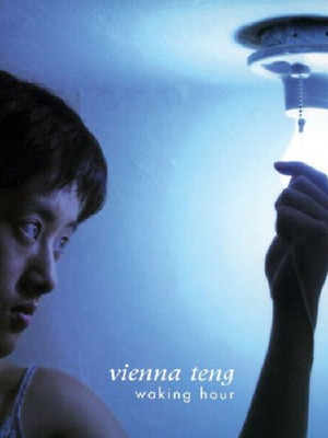 Vienna Teng Waking Hour CD used
