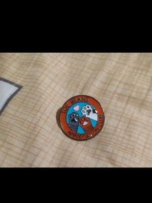 Fashion pin new, silver-plated, brown and turquoise, 29 mm diameter