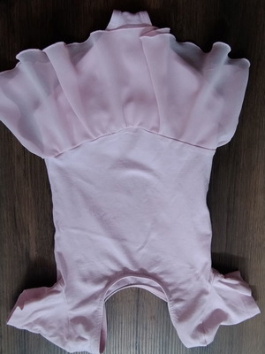 Ballet leotard like new