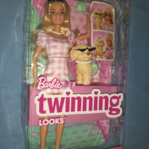 Κούκλα Barbie Twinning Looks με σκυλάκι και αξεσουάρ καινούργιο
