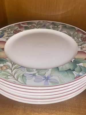Villeroy & Boch Catalina set of 6 large plates new
