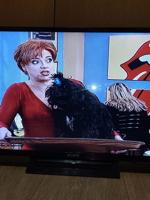 Sony 32'' MPEG4 TV like new