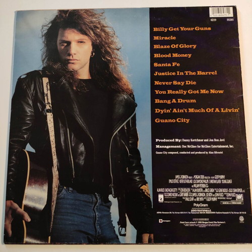 Jon Bon Jovi Blaze of Glory Young Guns II vinyl record, rock