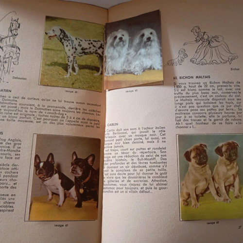 Sticker album used with dog stickers, 50 pages, 80 total