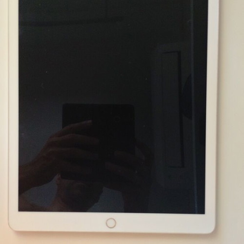 iPad Pro 12.9" 2nd Gen 64GB Wi-Fi + Cellular silver like new