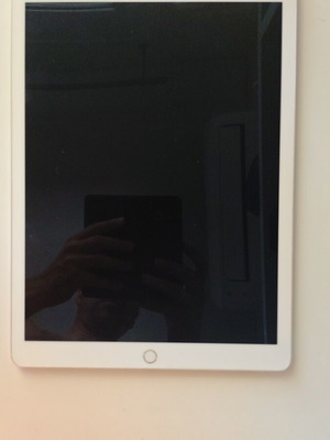iPad Pro 12.9" 2nd Gen 64GB Wi-Fi + Cellular silver like new