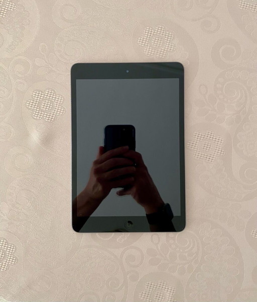 iPad mini 2