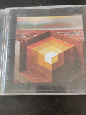 Black Mountain In The Future CD, rock