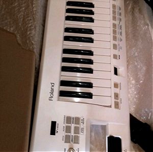 Roland lucina AX-09 keytar synth
