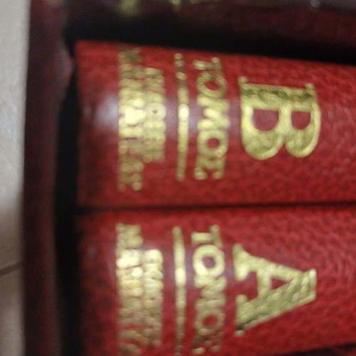 Authentic Tselementes cookbooks like new, set of two volumes