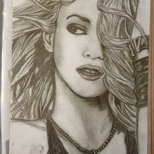 Shakira portrait 26x19 made to order