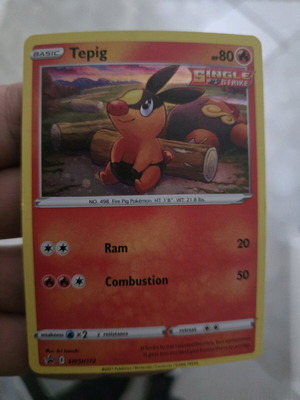 Tepig Pokemon promo card new
