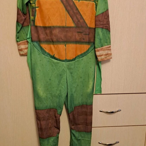 Turtles carnival costume used without mask