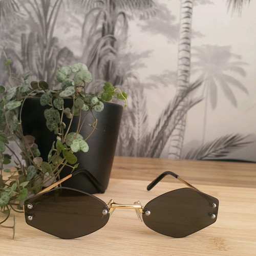 DLV sunglasses used in very good condition