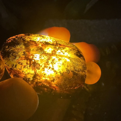 Baltic Amber Necklace used, honey butterscotch and cognac colors