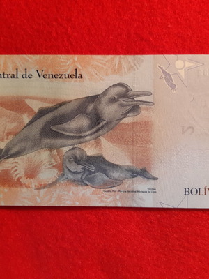 Банкнота от Венецуела нова 2 Bolívares 2013