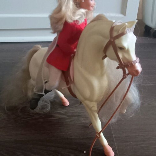 Barbie Amazon and Her Horse like new
