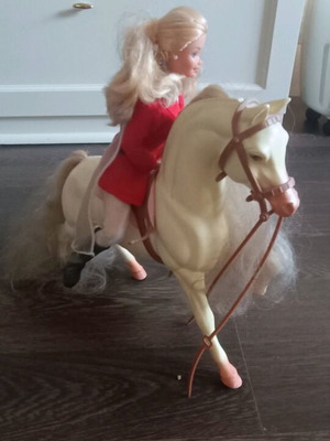 Barbie Amazon and Her Horse like new