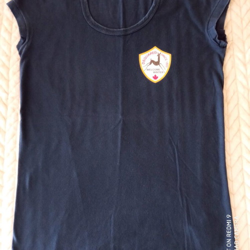 Dsquared2 t-shirt used, blue, size small
