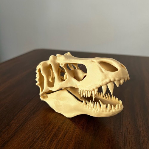 T-Rex dinosaur skull like new, 12 centimeters long